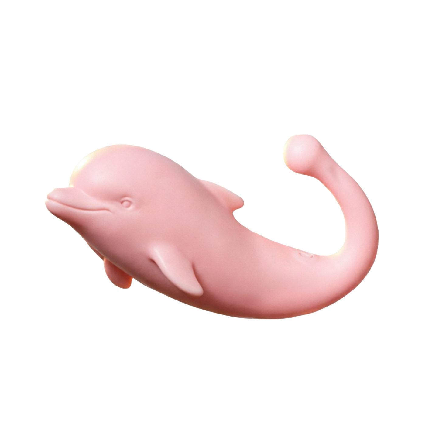 Dolphin Dream Droexa